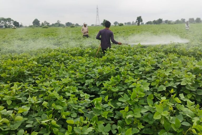 NUREA Green Micro Urea