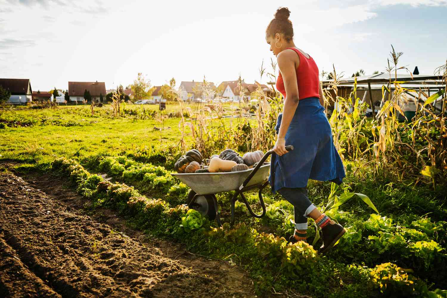 Empowered Farmers
